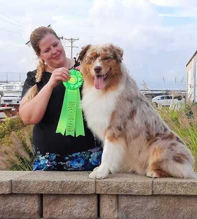 Aussberns aussies top